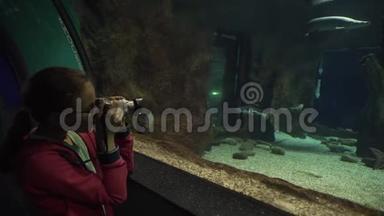 女孩拍摄丰富多彩的水下世界股票录像
